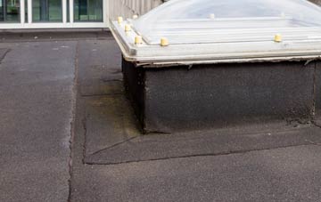 disadvantages of Pandyr Capel flat roofs